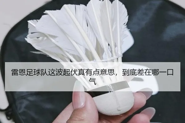 lei-en-zu-qiu-dui-zhe-bo-qi-fu-zhen-you-dian-yi-si-dao-di-cha-zai-na-yi-kou-qi-2-181.jpg
