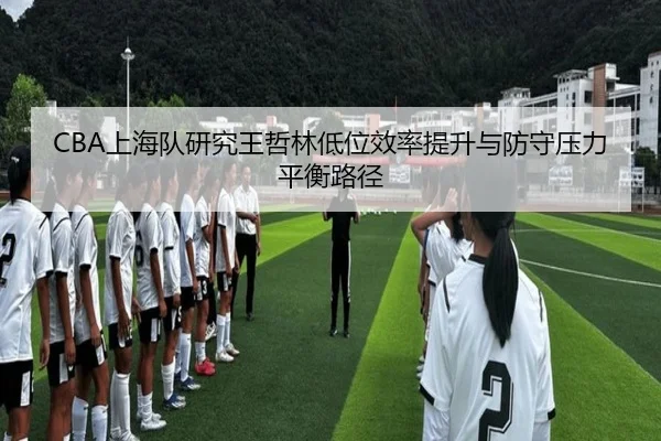CBA上海队研究王哲林低位效率提升与防守压力平衡路径 - kaiyun